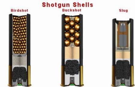 shotgun shell