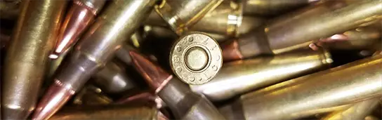 30 Remington Ar Ballistics Chart
