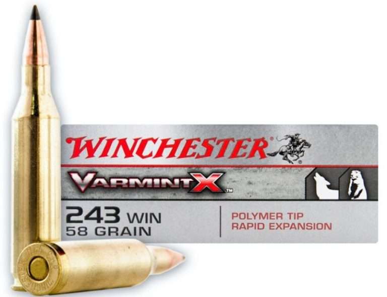 223 Remington VS 243 Winchester Ballistics (History, Uses, Recoil